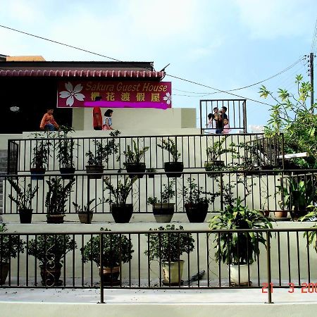 Sakura Guest House Cameron Highlands Dış mekan fotoğraf