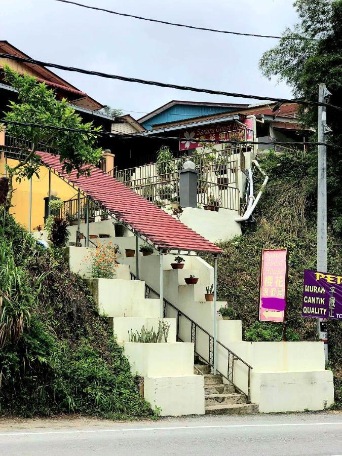 Sakura Guest House Cameron Highlands Dış mekan fotoğraf