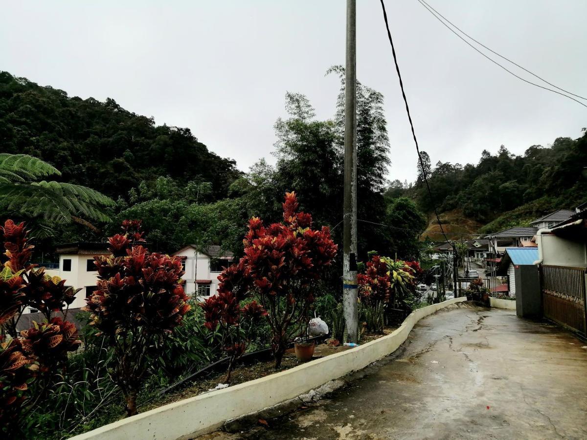 Sakura Guest House Cameron Highlands Dış mekan fotoğraf